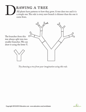 Drawing Trees