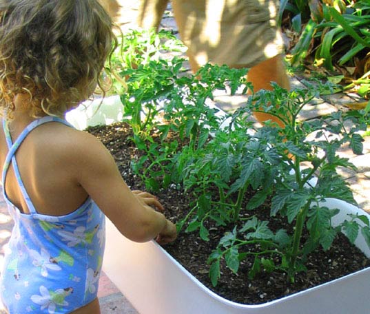 kid gardening